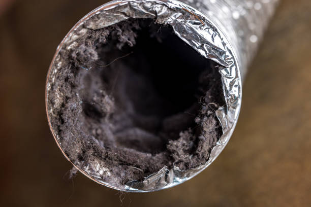 Best HVAC Air Duct Cleaning  in Grayson Vley, AL
