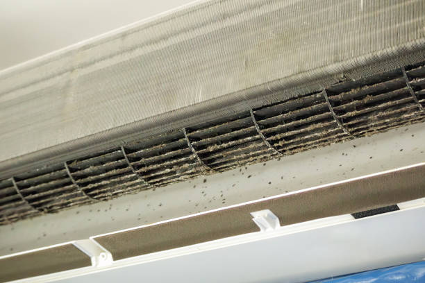 Best Emergency Air Duct Cleaning  in Grayson Vley, AL